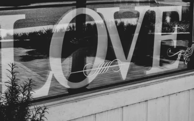 Window Graphics for Business: A Complete Guide